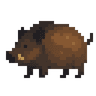 Dzik